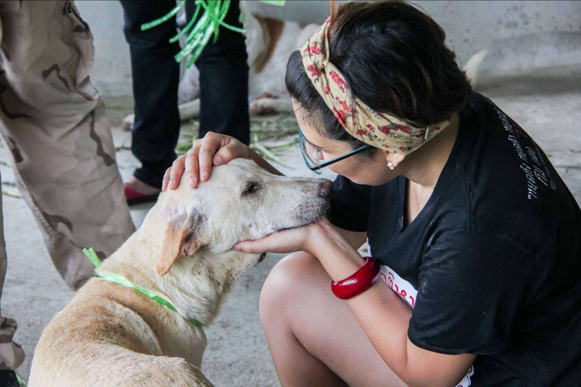 Adopta un Animal es un proyecto que cuenta con una tienda online propia para ayudar a fundaciones y protectoras de animales