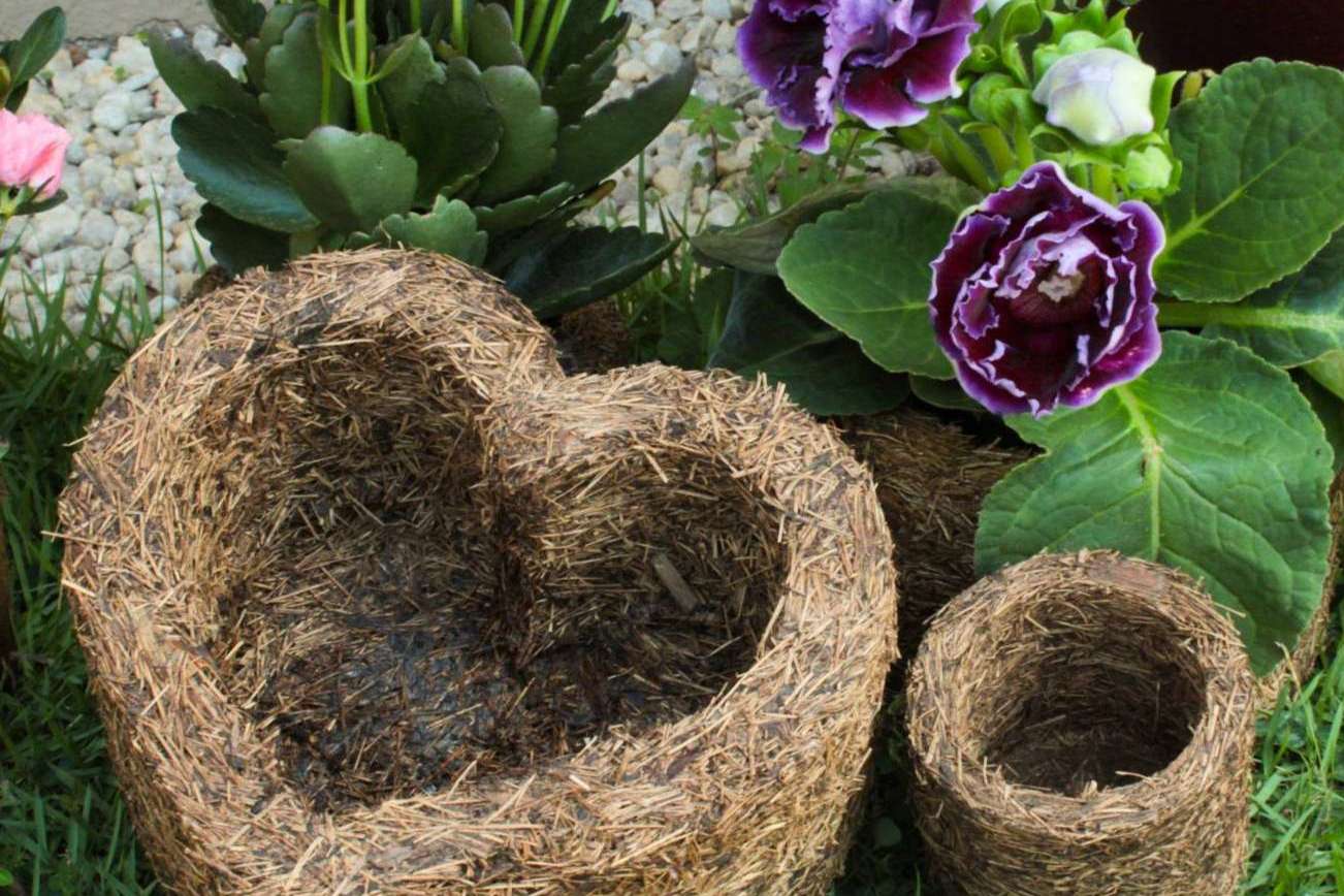 Xaxim Pots, el emprendimiento de Biosolvit Spain, permite contribuir a un mundo verde