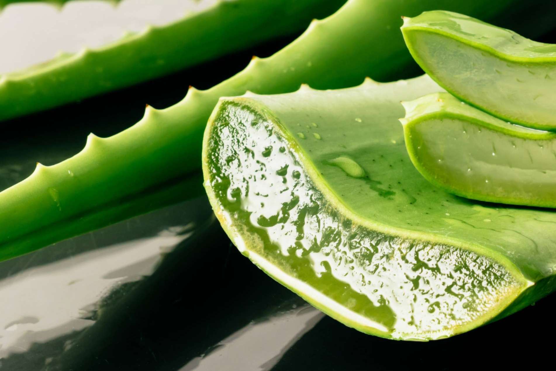 Beneficios del aloe vera en la cosmética de CrisEssens