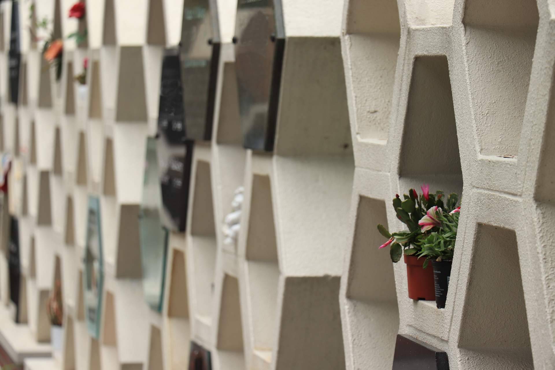 ¿Qué precio tienen los servicios funerarios en Pamplona?
