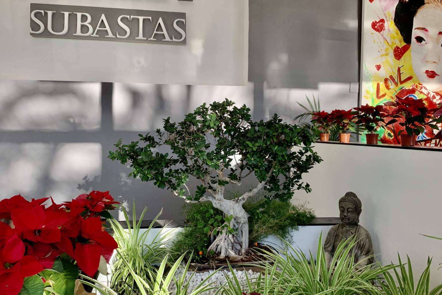 Subastas Darley, una de las casas de subastas de referencia a nivel nacional e internacional