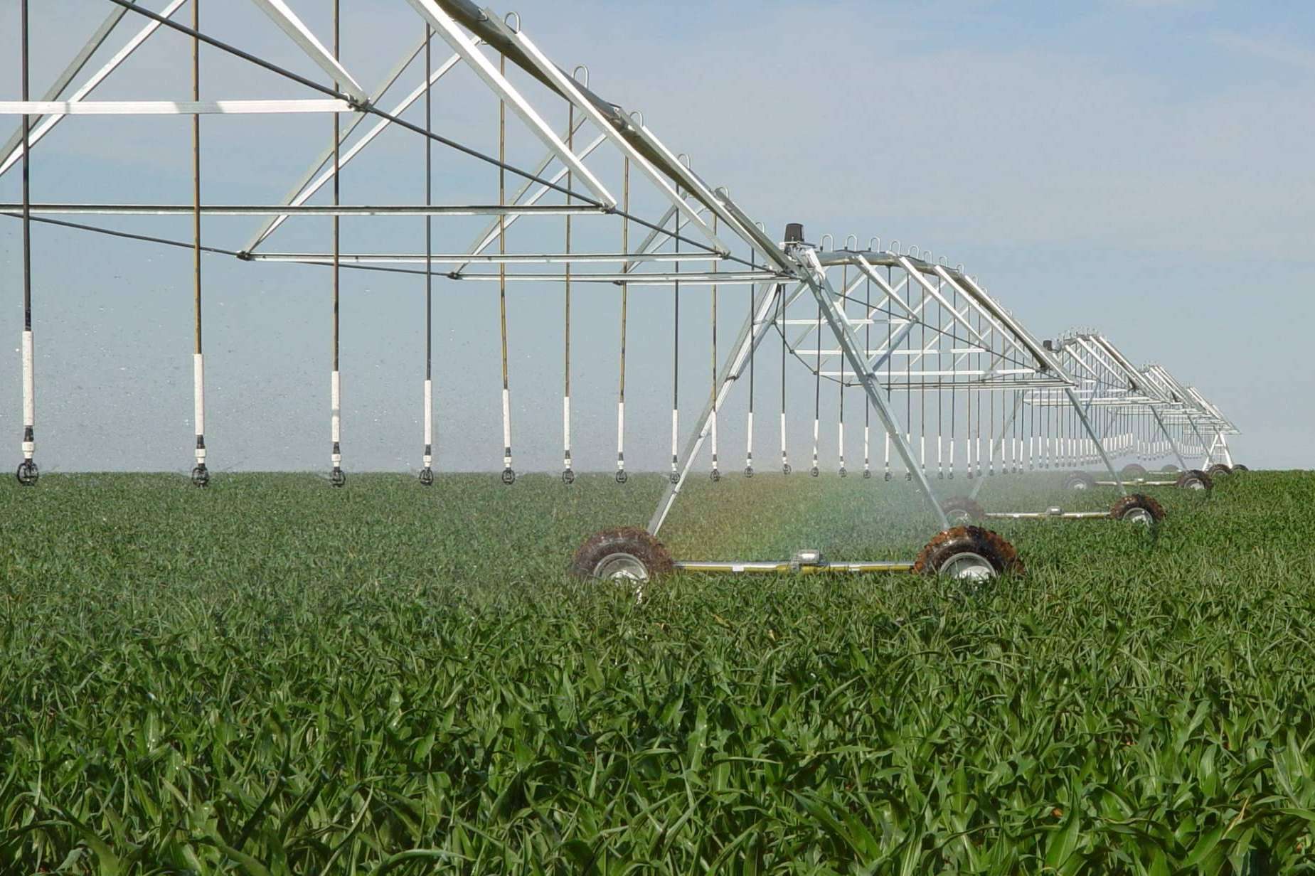 ¿Dónde encontrar una de las empresas referentes en fertirrigación? ITC Dosing Pumps
