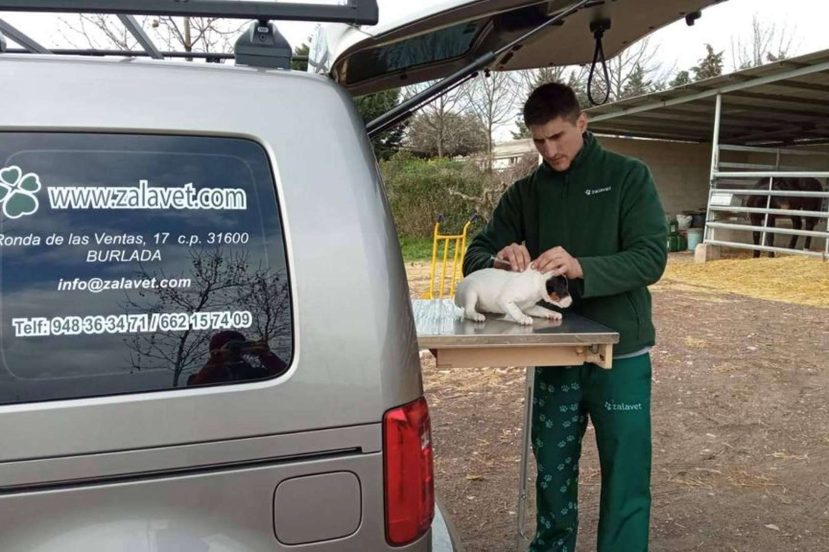 El mejor pienso para perros y gatos y dietas personalizadas en función de las necesidades de la mascota en Zalavet