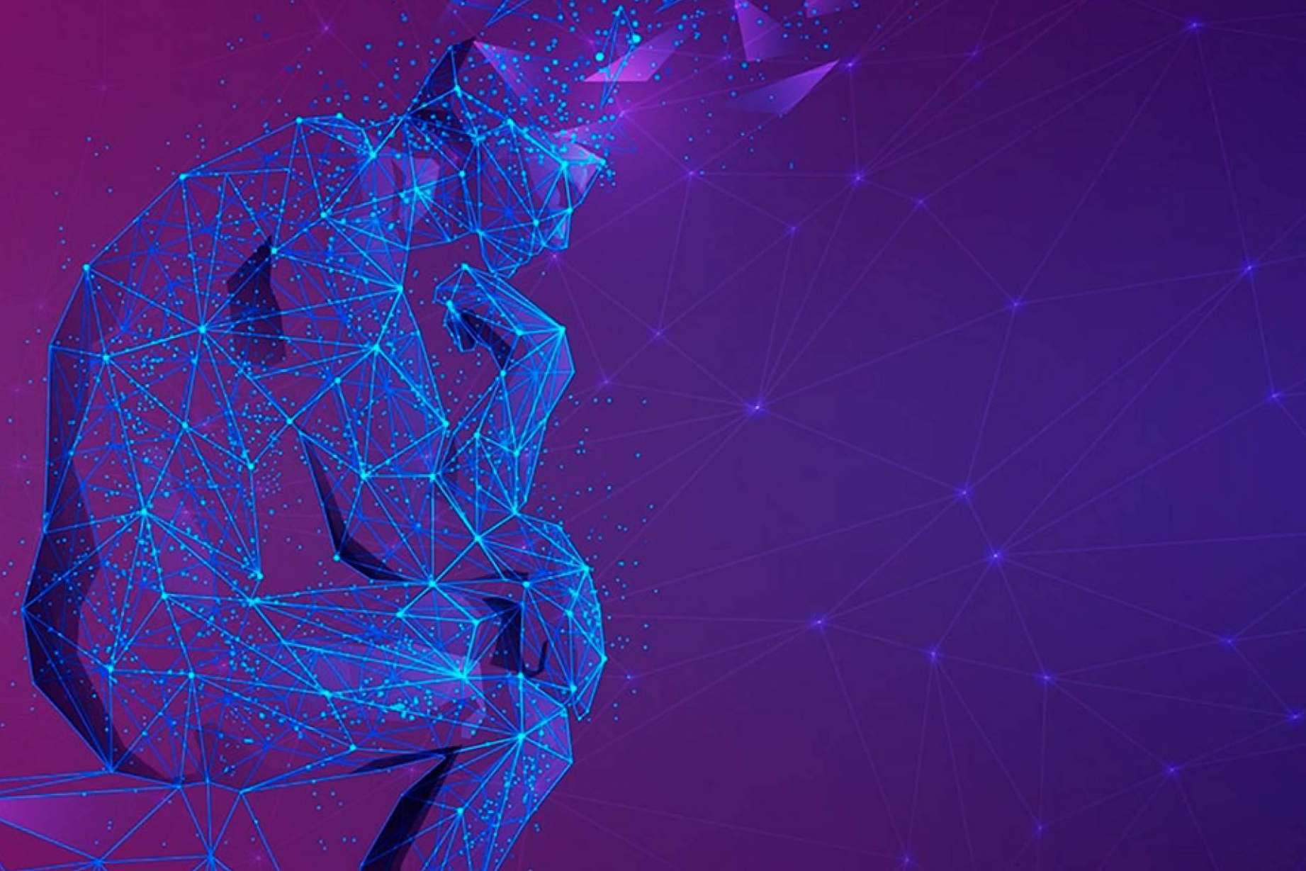 Instituto Psicobiológico, descubrir el plan de formación de inteligencia emocional desde el estudio científico de la Psicología, la Neurociencia y la Salud