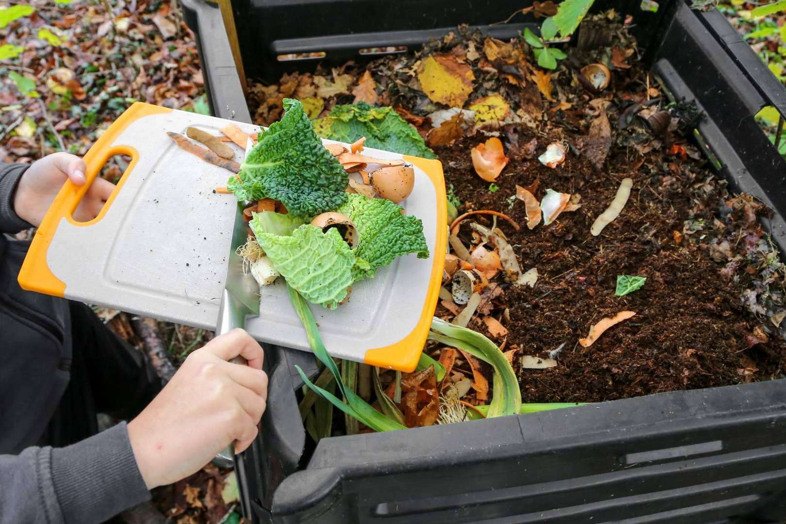 ¿Cómo ayudar al medioambiente desde el jardín de casa?
