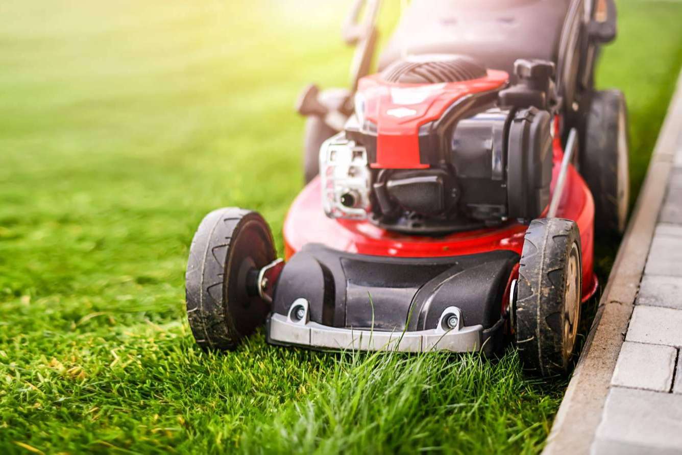 Grupo Sileb realiza el mantenimiento integral de jardines y parques de empresas