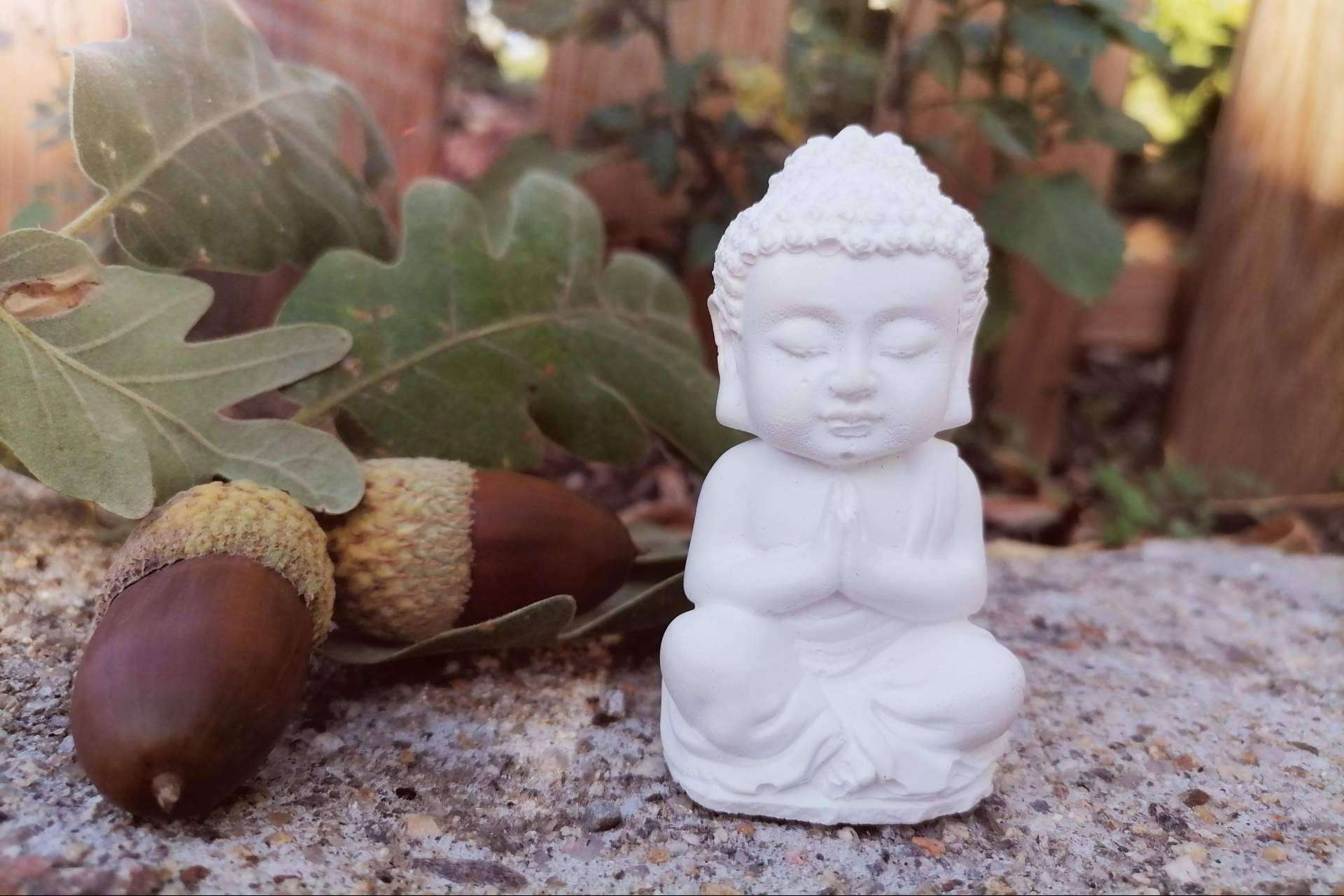 Psicosoluciones Burgos ofrece cursos online de mindfulness