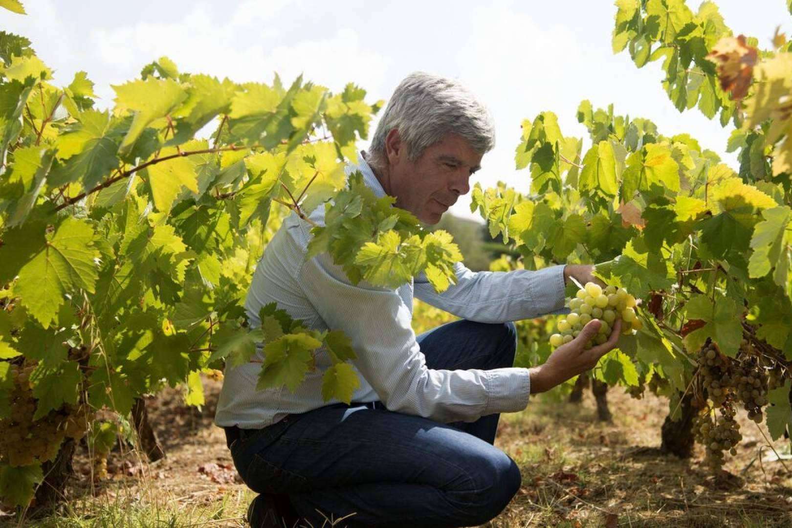 Vino Pedro Ximénez ecológico, la elaboración única en el sector vinícola de Bodegas Robles