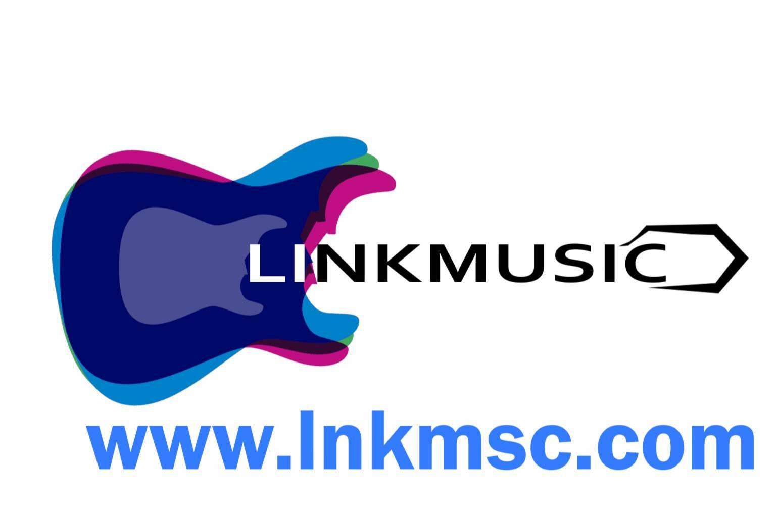 LinkMusic ofrece un sistema de oportunidades