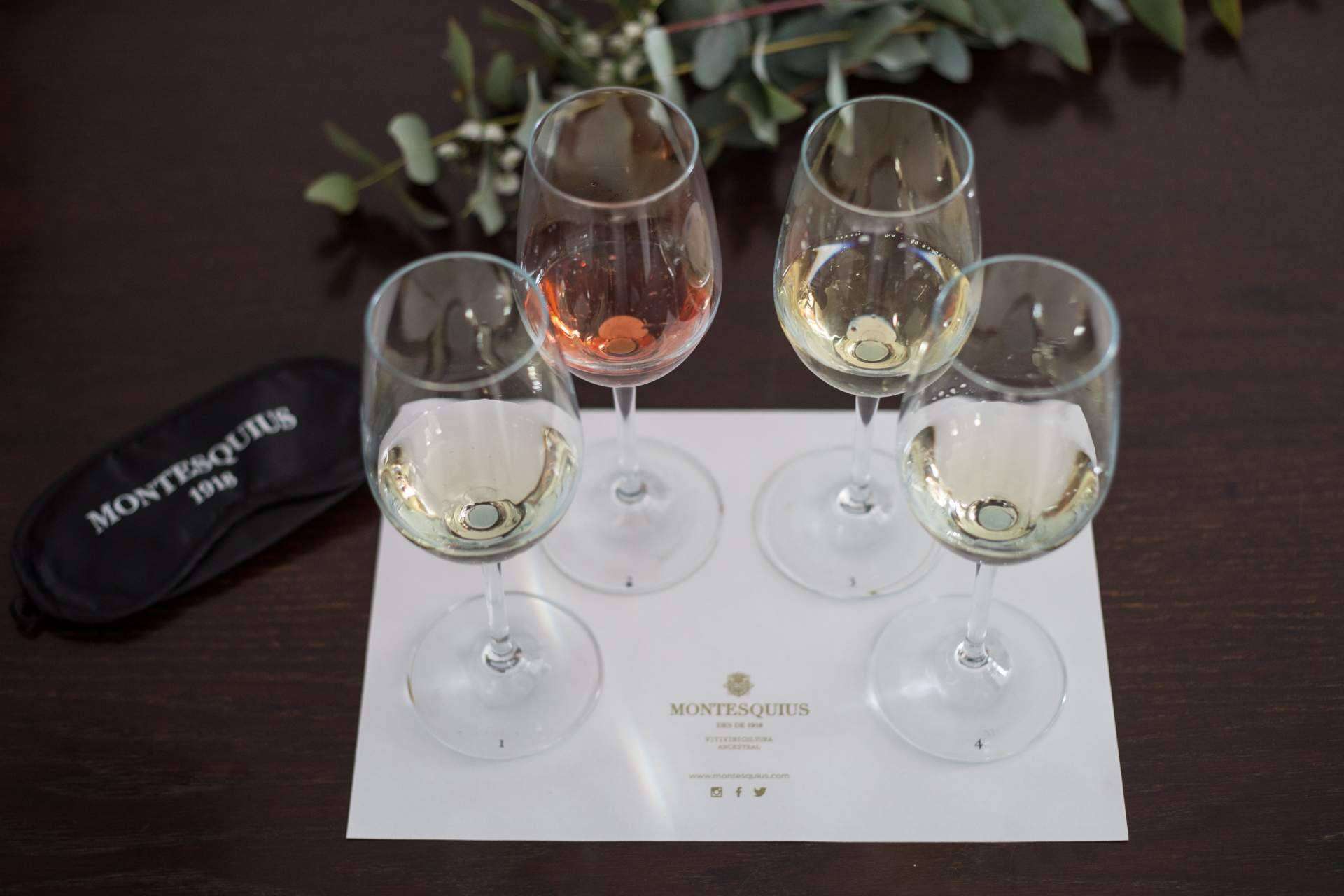 Tours privados y catas a ciegas en Sant Sadurní d'Anoia, la capital del cava