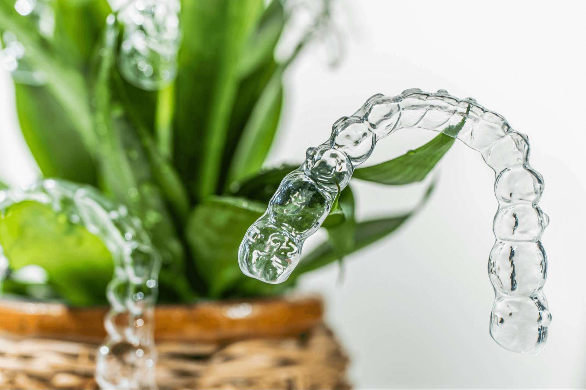 Presupuesto y diagnóstico previo para saber el precio Invisalign, en Corporación Dental