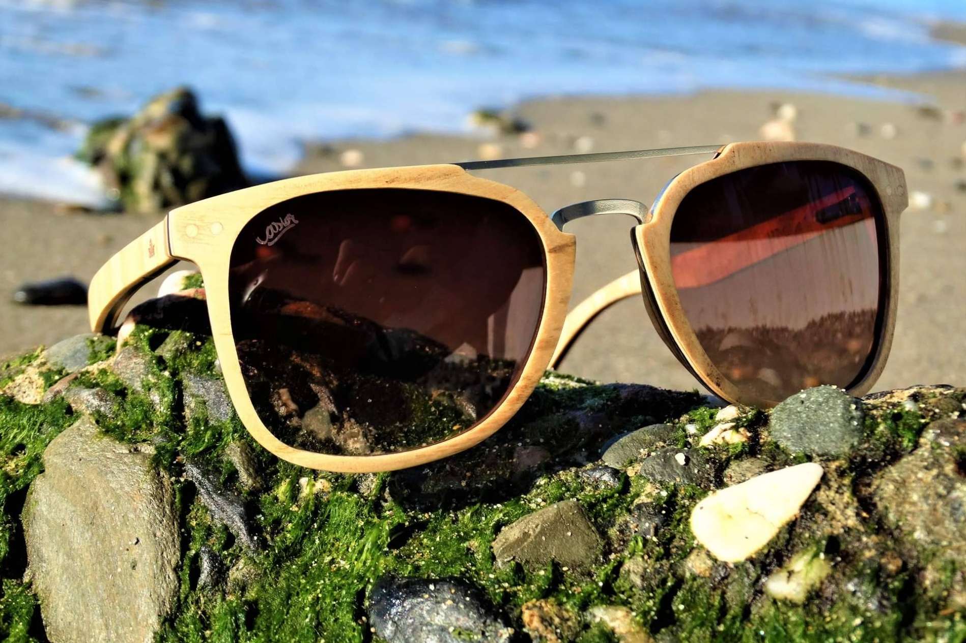 Las gafas de madera de zebrano y de olivo, por Castor Sunglasses