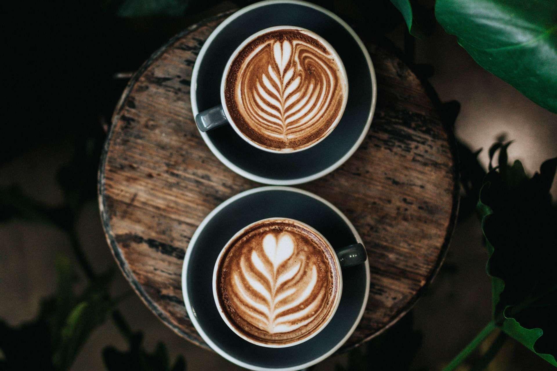 Cafés Legend ofrece una experiencia sensitiva única gracias a la receta secreta de su café molido