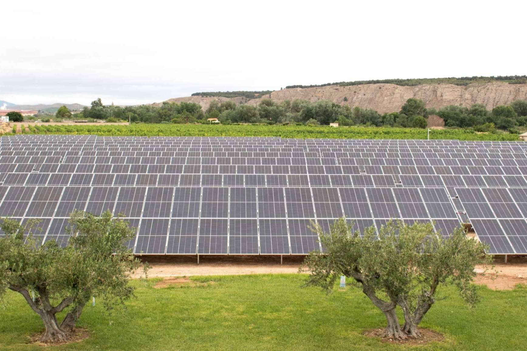 Intermalta inaugura sus instalaciones fotovoltaicas