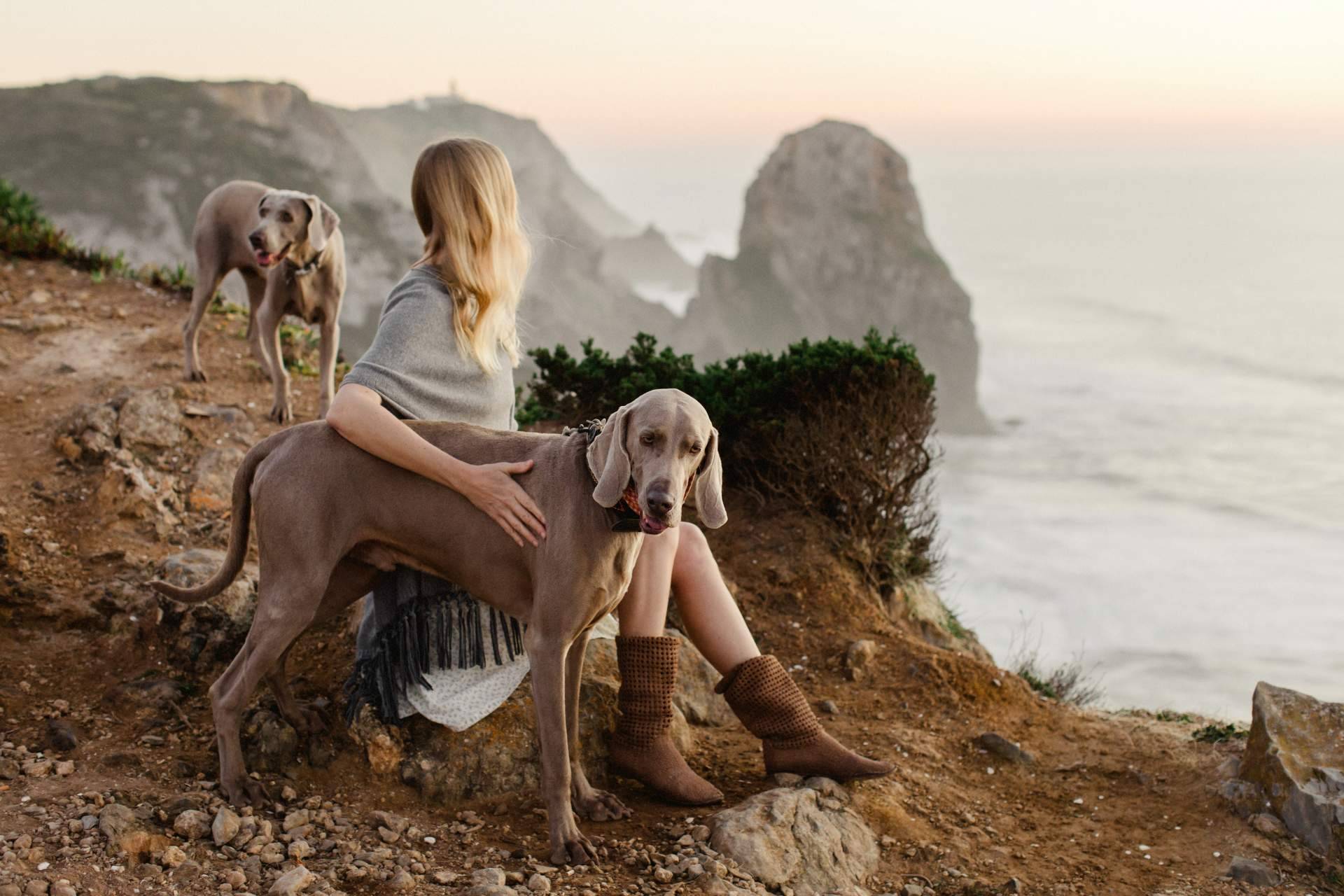 Adoptar perros, una forma de ganar amigos