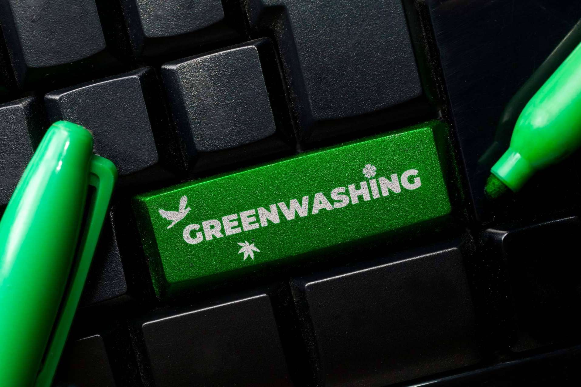 Combatir el greenwashing de la mano de DoGood