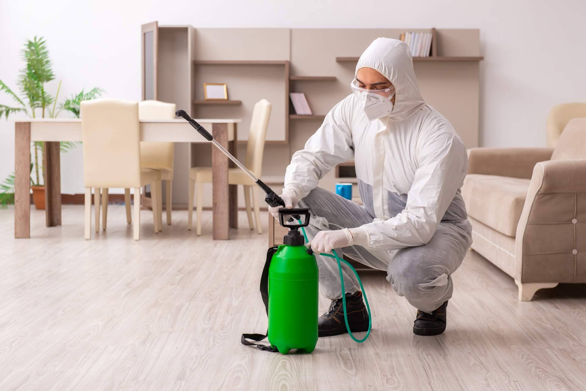 American Pest Control, la compañía de control de plagas de Madrid