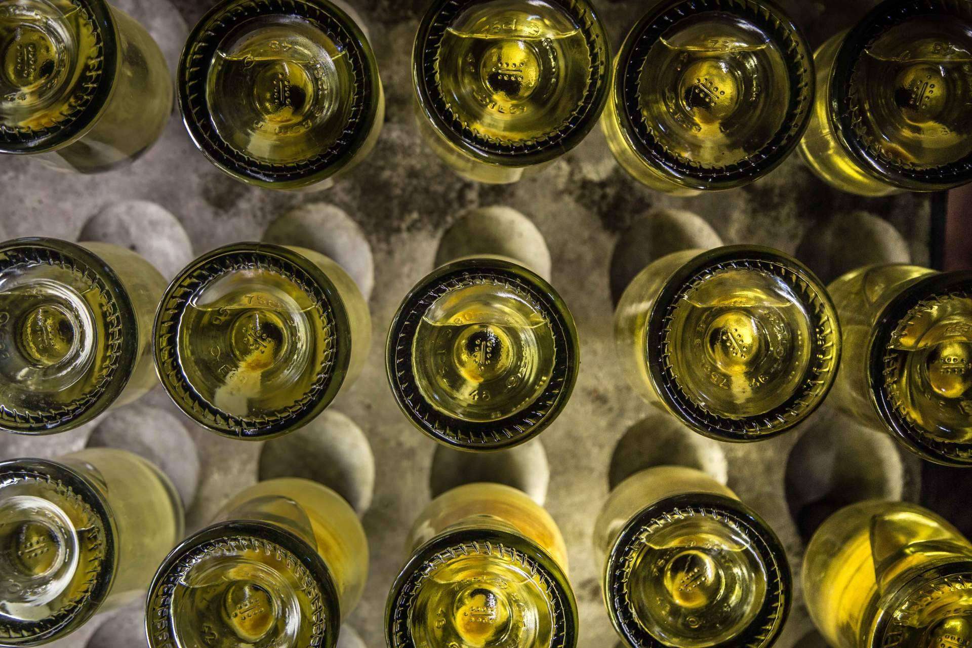Regalar enoturismo con las catas de vinos de Natureloverswines