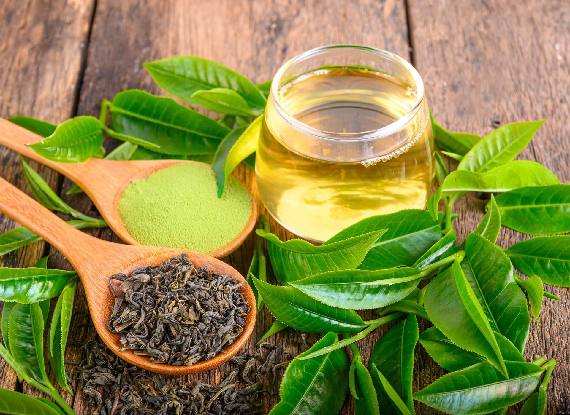 Reishi Gano Té DXN, cuáles son las propiedades del té con ganoderma