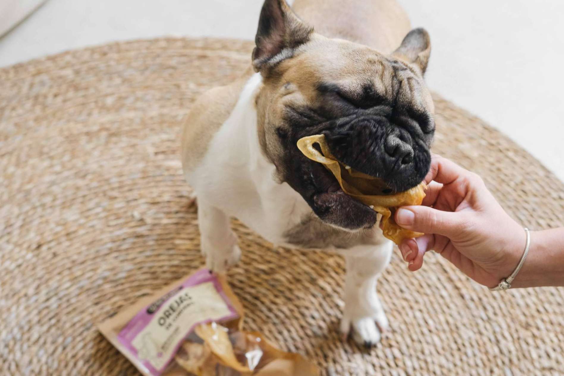 Wild Balance, la startup española que acaba de aterrizar en Dubái con su apuesta por la alimentación natural para mascotas