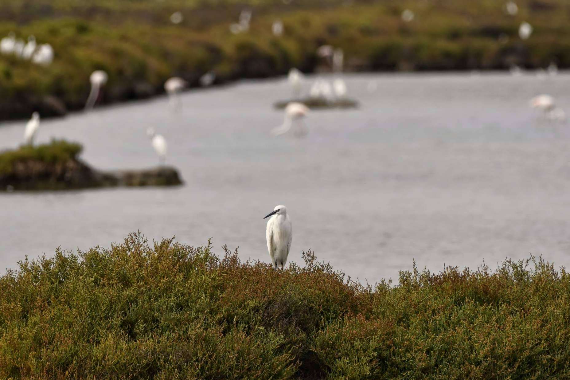 La sal marina ecológica es considerada una de las más sostenibles