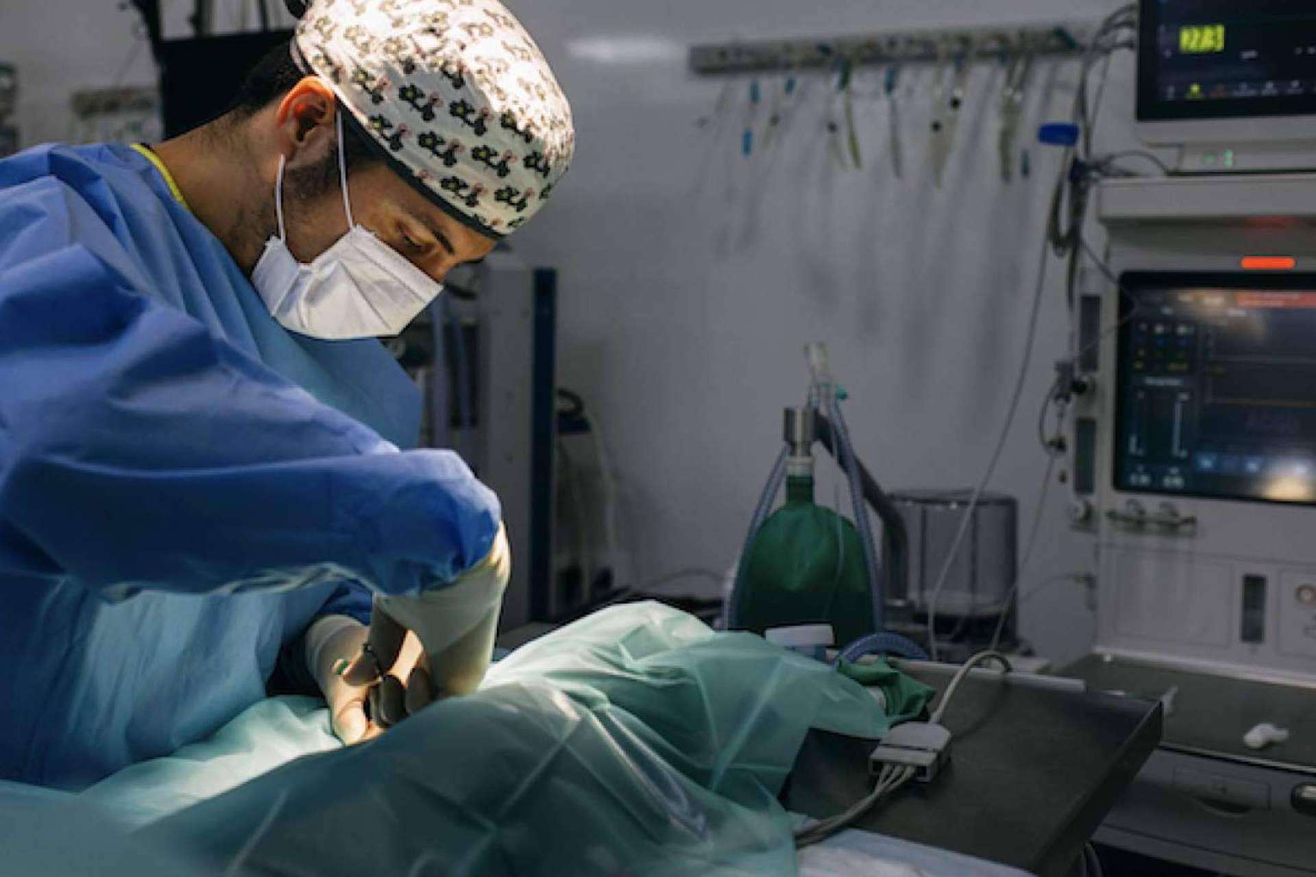 La campaña de esterilización en la comunidad de Madrid del Hospital Veterinario Privet
