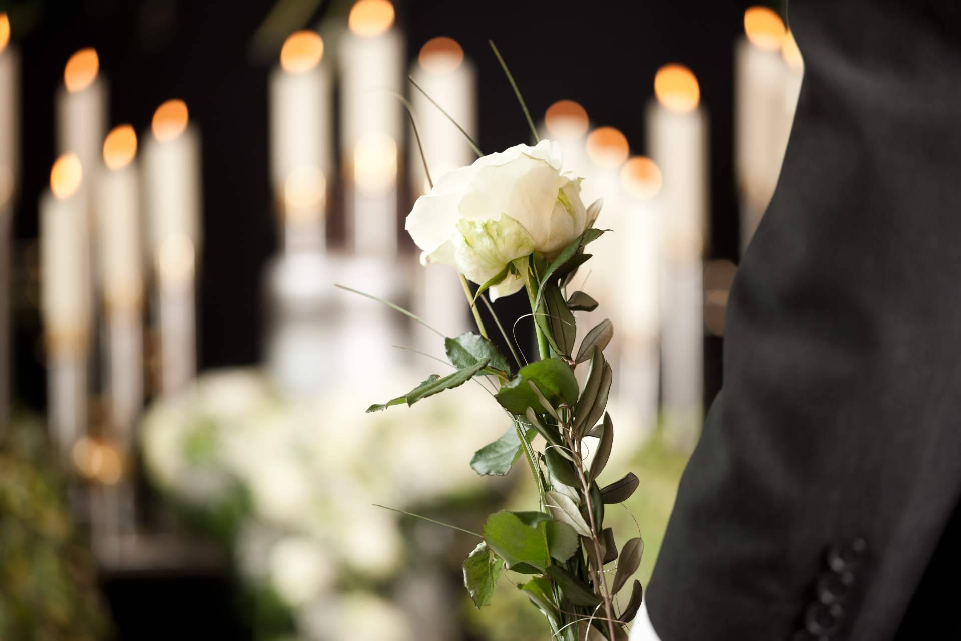 La sostenibilidad llega al sector funerario, así es como se están adaptando las empresas