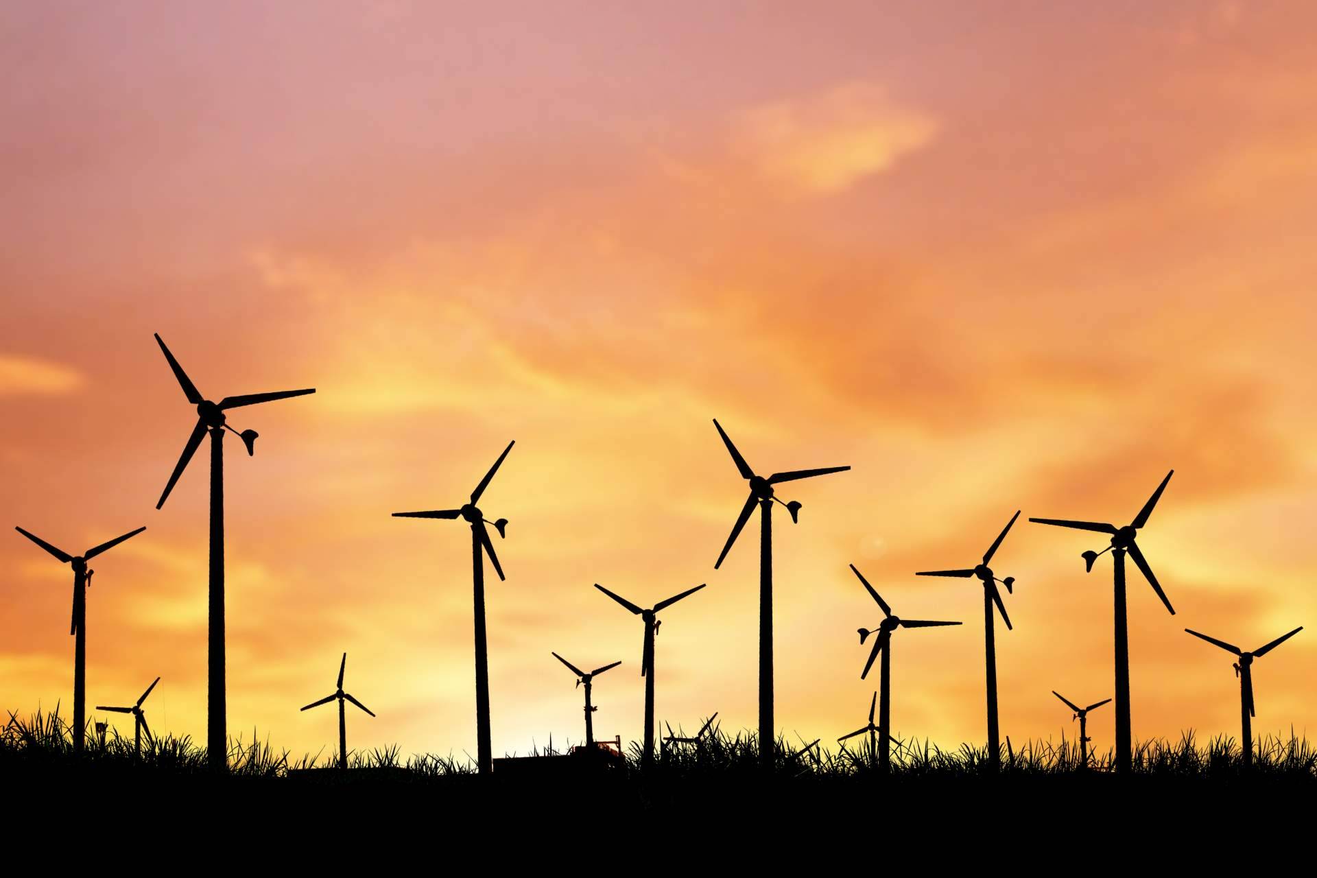 La importancia de los seguros de caución para las empresas de energías renovables de hoy, por Consorcio Europeo de Avales