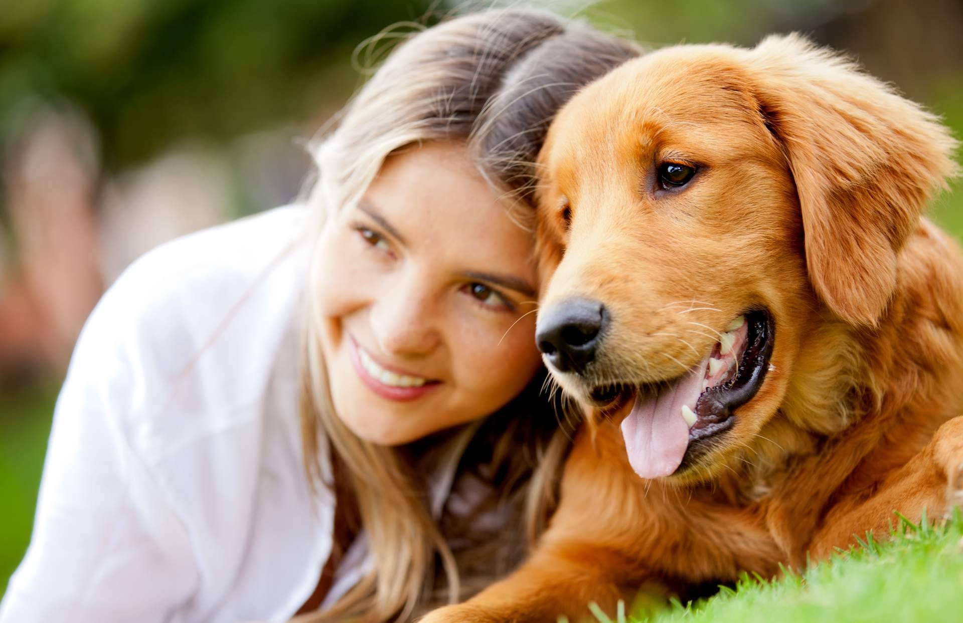La nueva marca de pienso natural para perros y gatos a base de proteína de insecto se llama Ginqo