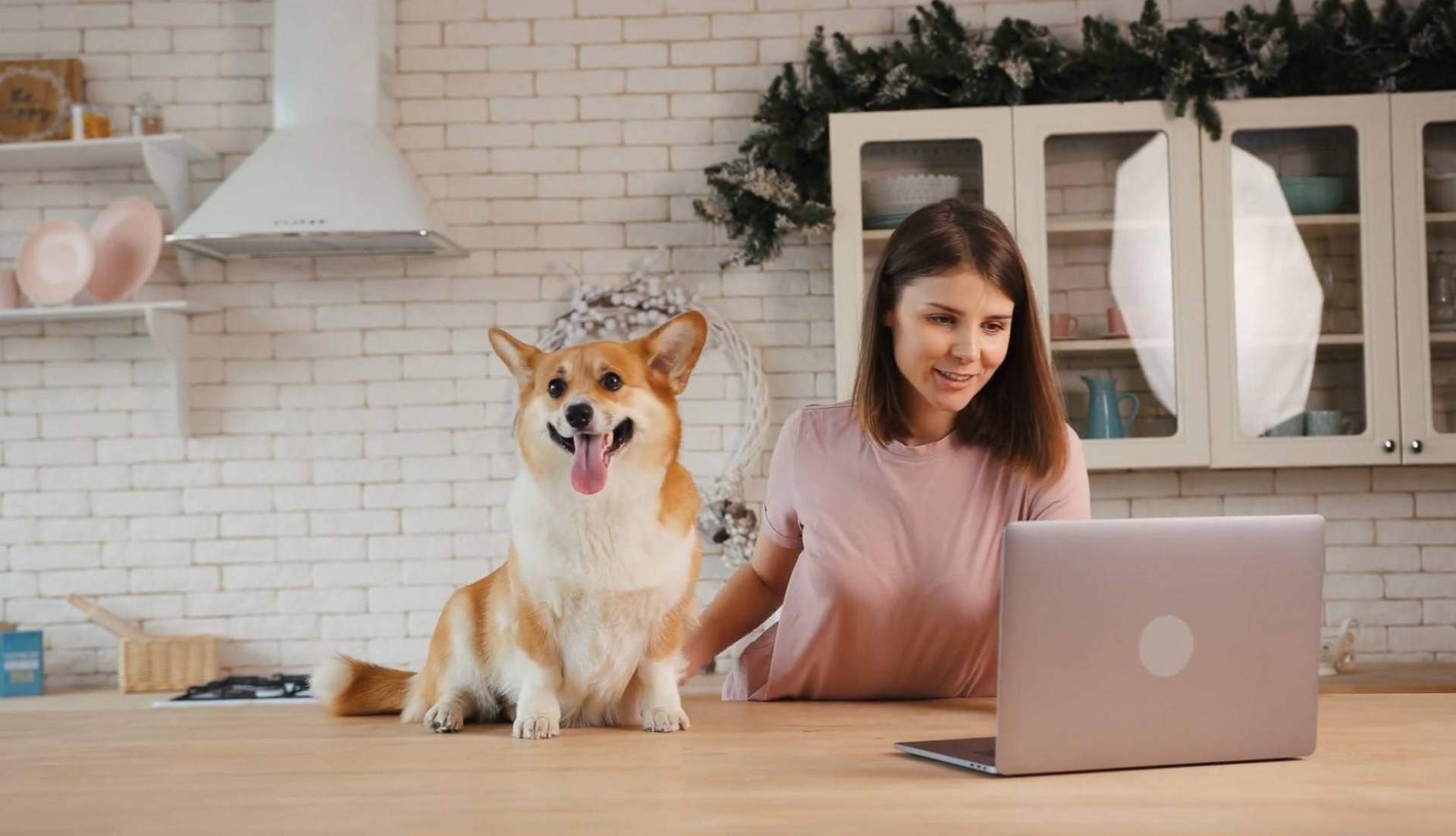 'Buscamos una agencia de marketing completa y con experiencia, y la encontramos', afirman en Wolves Legacy
