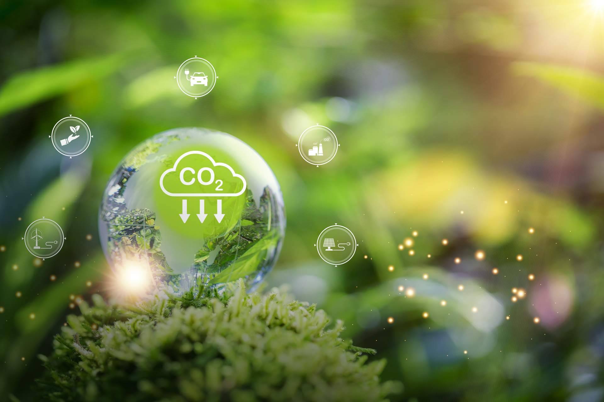 Huella de carbono 0 % para 2030, el objetivo de PENETRON, por ClauniCanarias