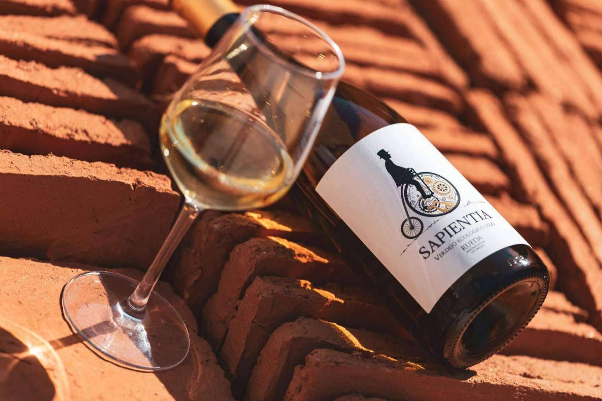 Producción de vinos ecológicos en España, con El Lagar de Moha