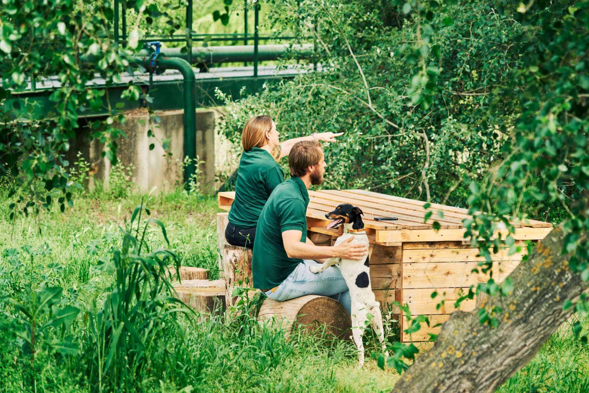 El origen y la clave de un virgen extra de excelente calidad