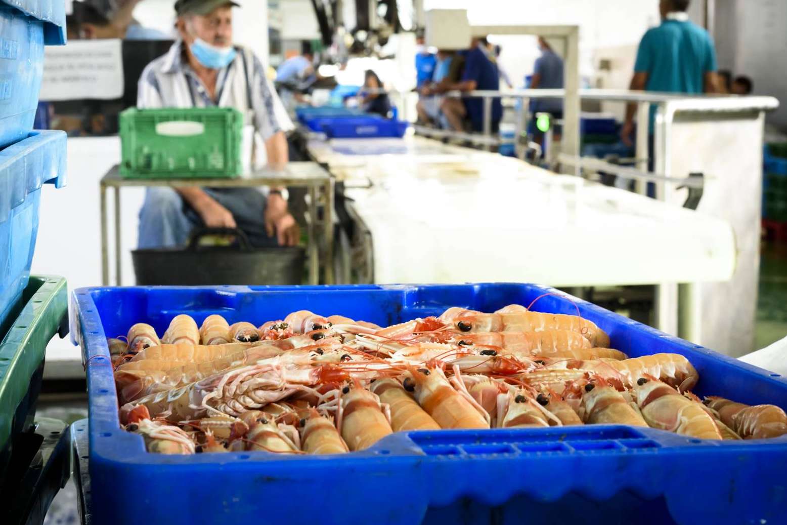 Lonja de Ayamonte facilita consumir marisco fresco delicioso