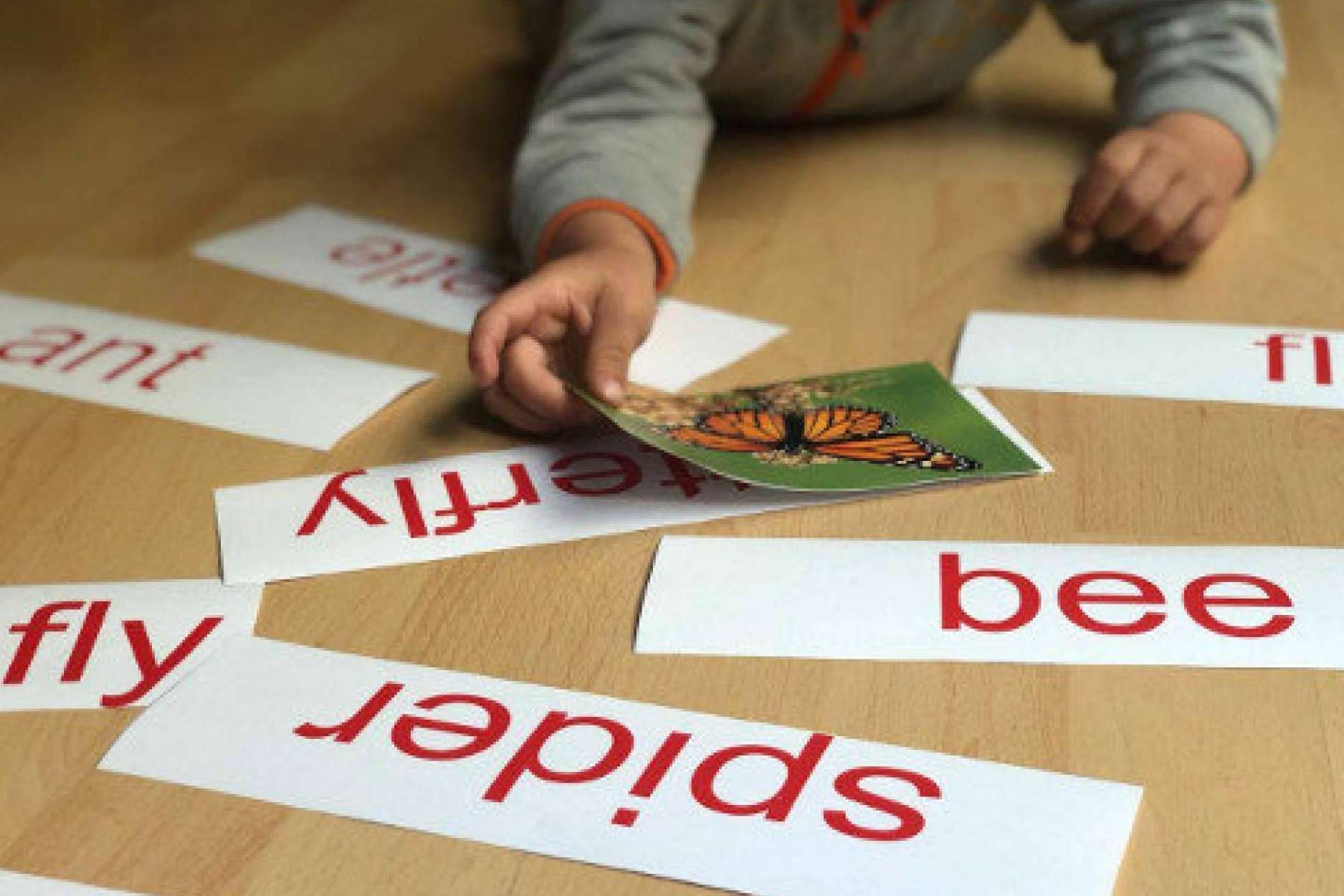 ¿Por qué es importante la escolarización temprana en el centro de educación infantil My House ubicado en Valencia?