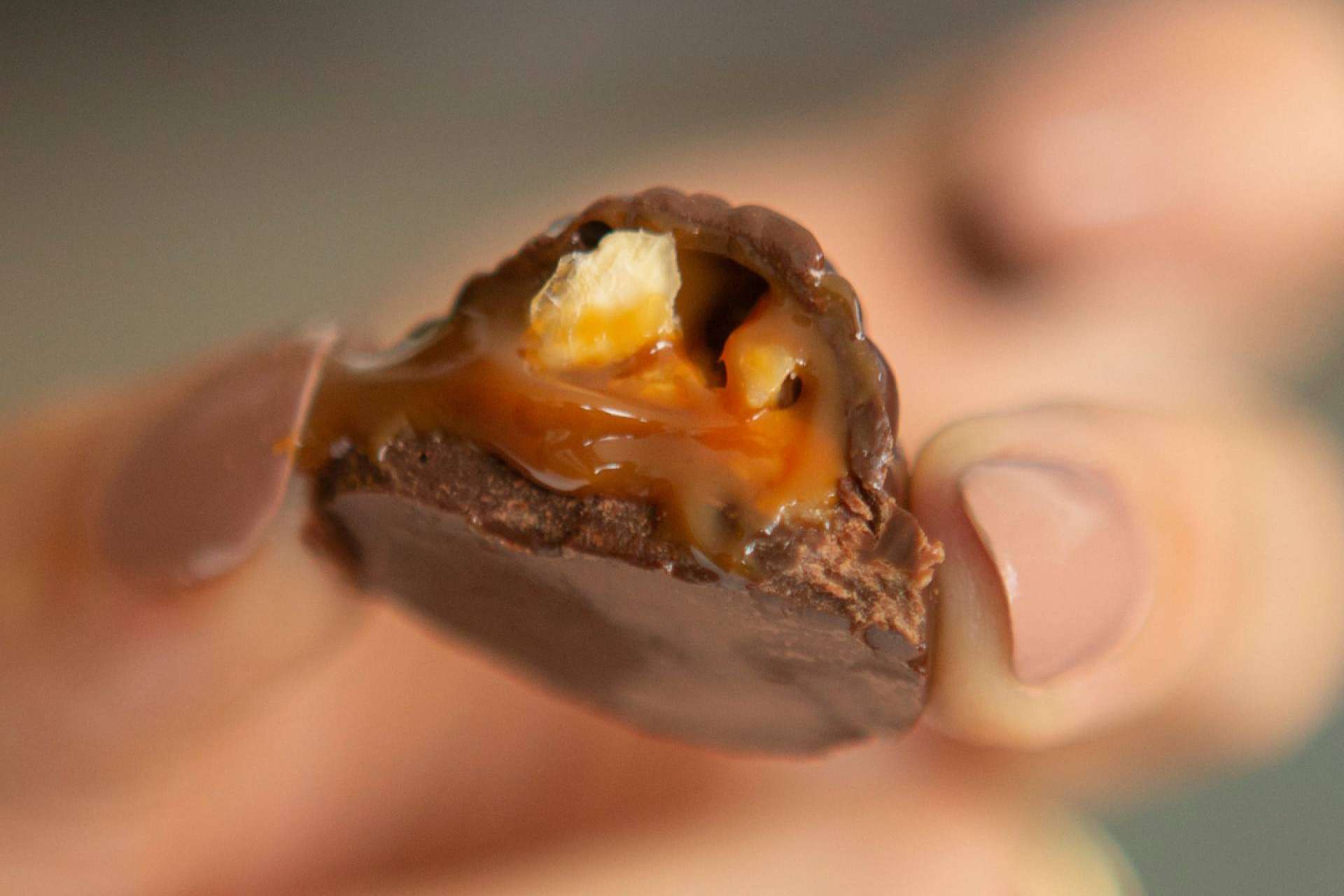 La nueva marca de bombones de chocolate con forma de nuez que causa furor en Europa, Nuche