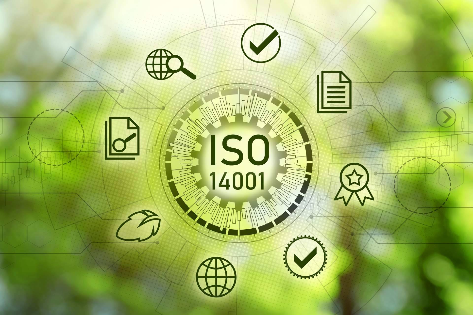 Por qué es importante preparar una empresa para la certificación ISO 14001