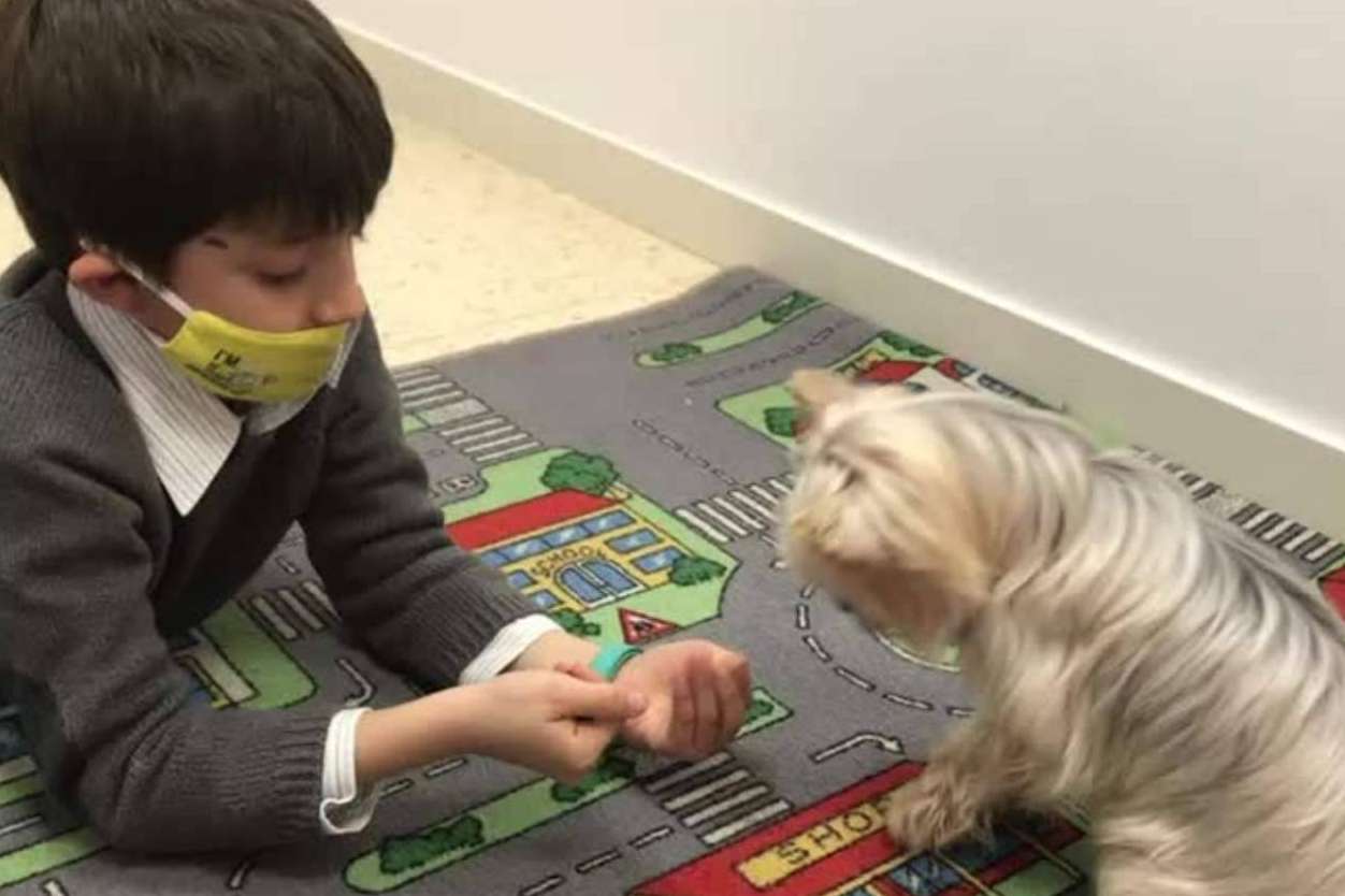 Factores de riesgo y signos de alarma que permiten detectar los retrasos madurativos, por E-THERAPYKIDS