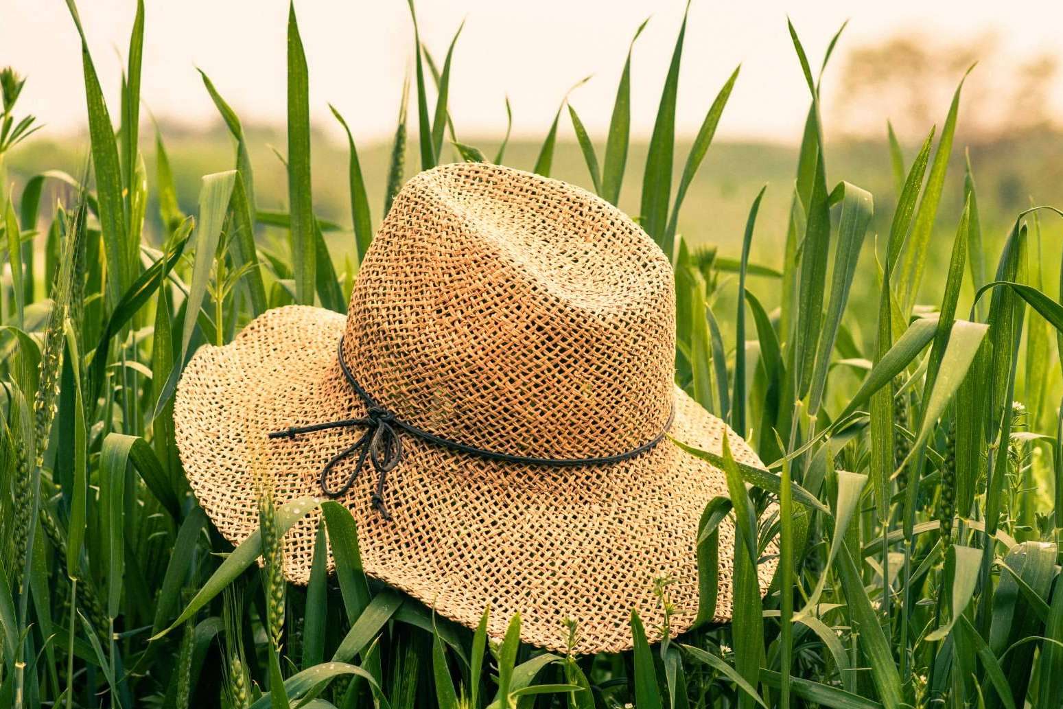 Ecofami, mucho más que una compañía especialista en la venta de envases y bolsas biodegradables