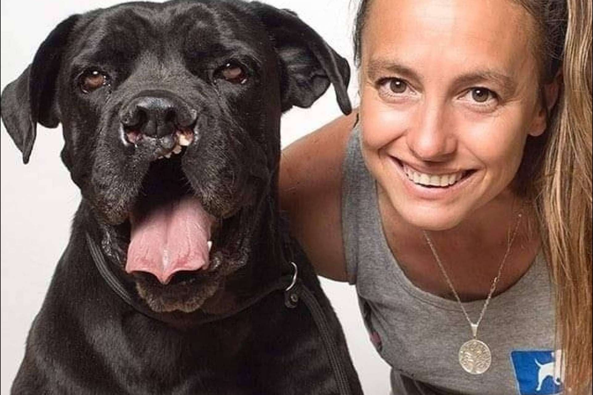 La guardería de perros que utiliza un método sin jaulas, PERROBUENO