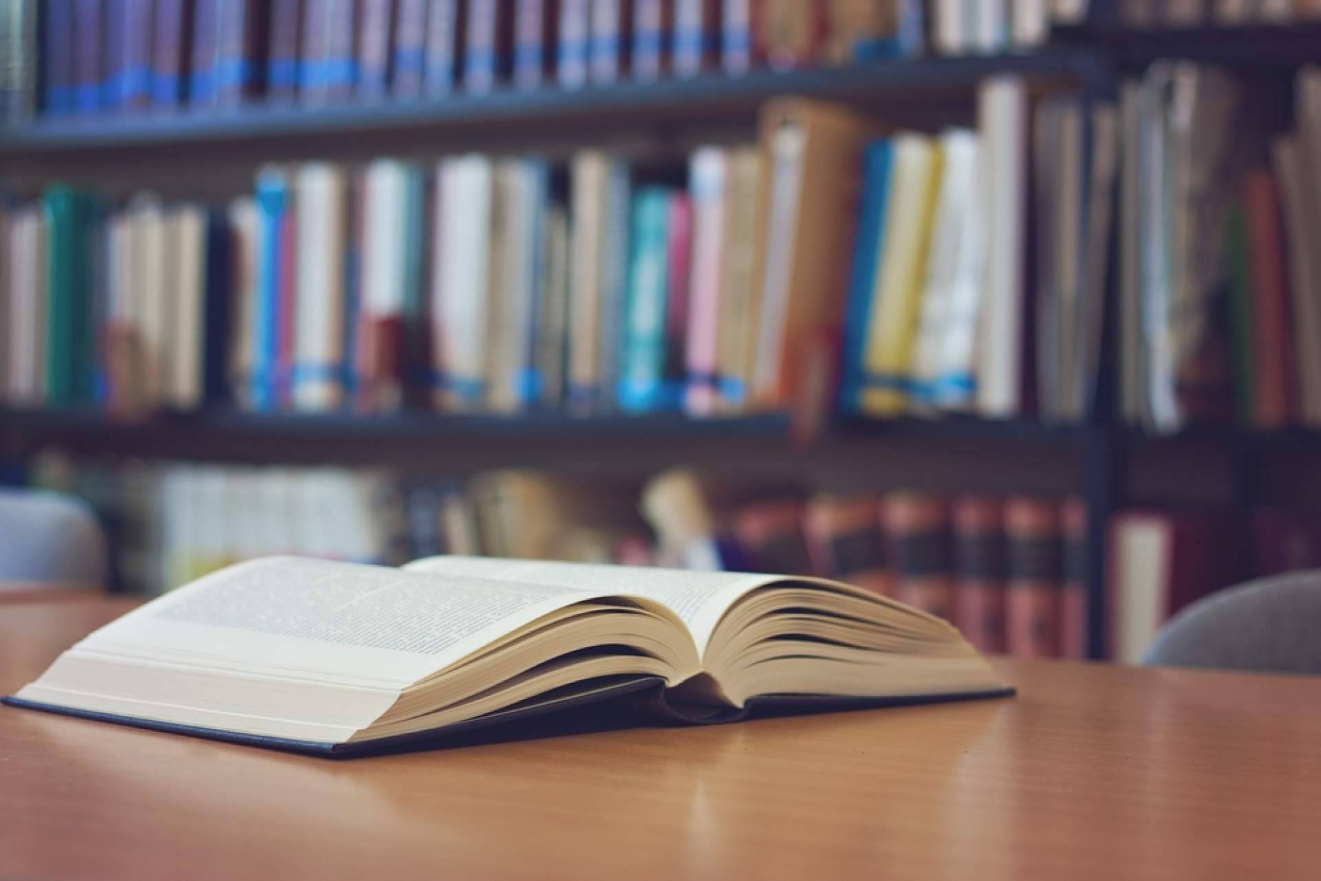 La última obra de la escritora española Teneca que ha visto la luz, Balansiya