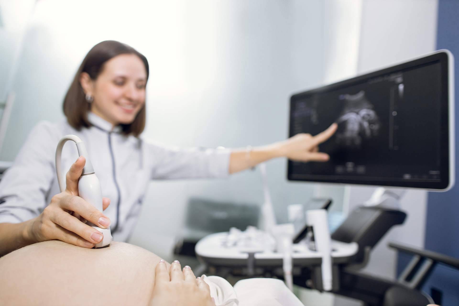Sistema de información para la medicina fetal