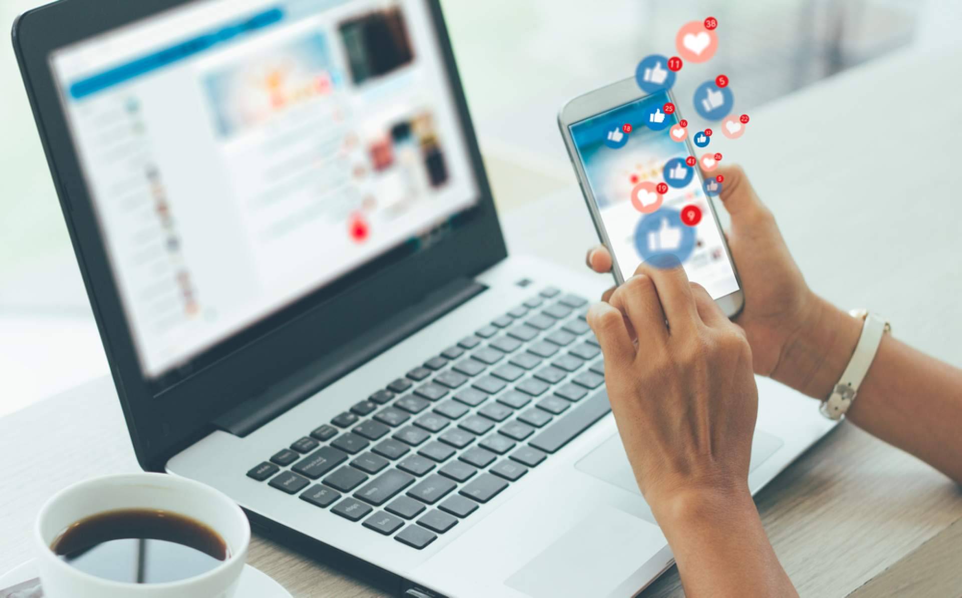 Estrategias de marketing y SEO en España e Italia, de la mano de la agencia digital Wolf Agency