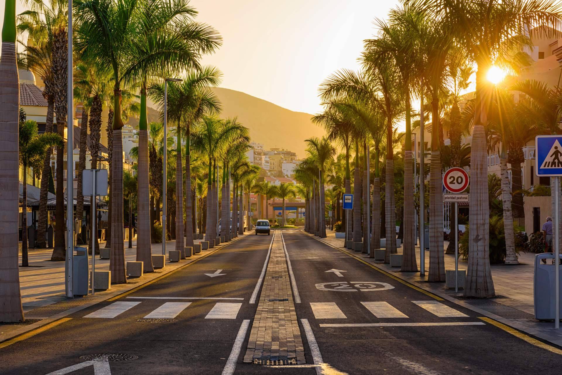 Alquiler de coches en Tenerife para visitar la isla en verano
