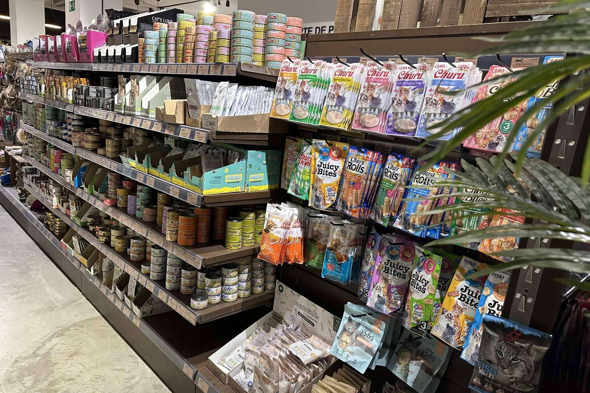 Los suplementos naturales para gatos de Lobitos & Co