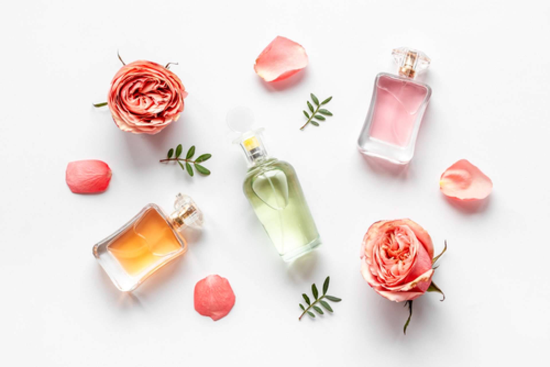 Divainparfums y su oferta de perfumes de equivalencia