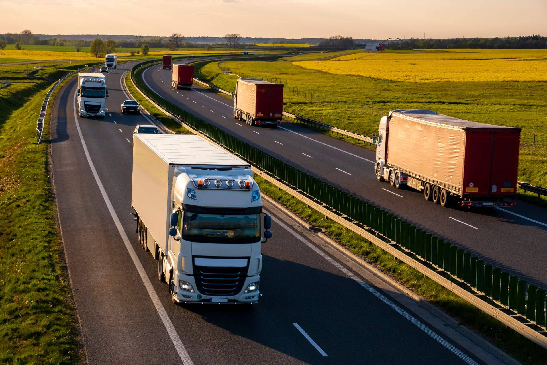 ¿Dónde encontrar una opción segura y de confianza de transporte? La cooperativa de transporte Transportes Bara