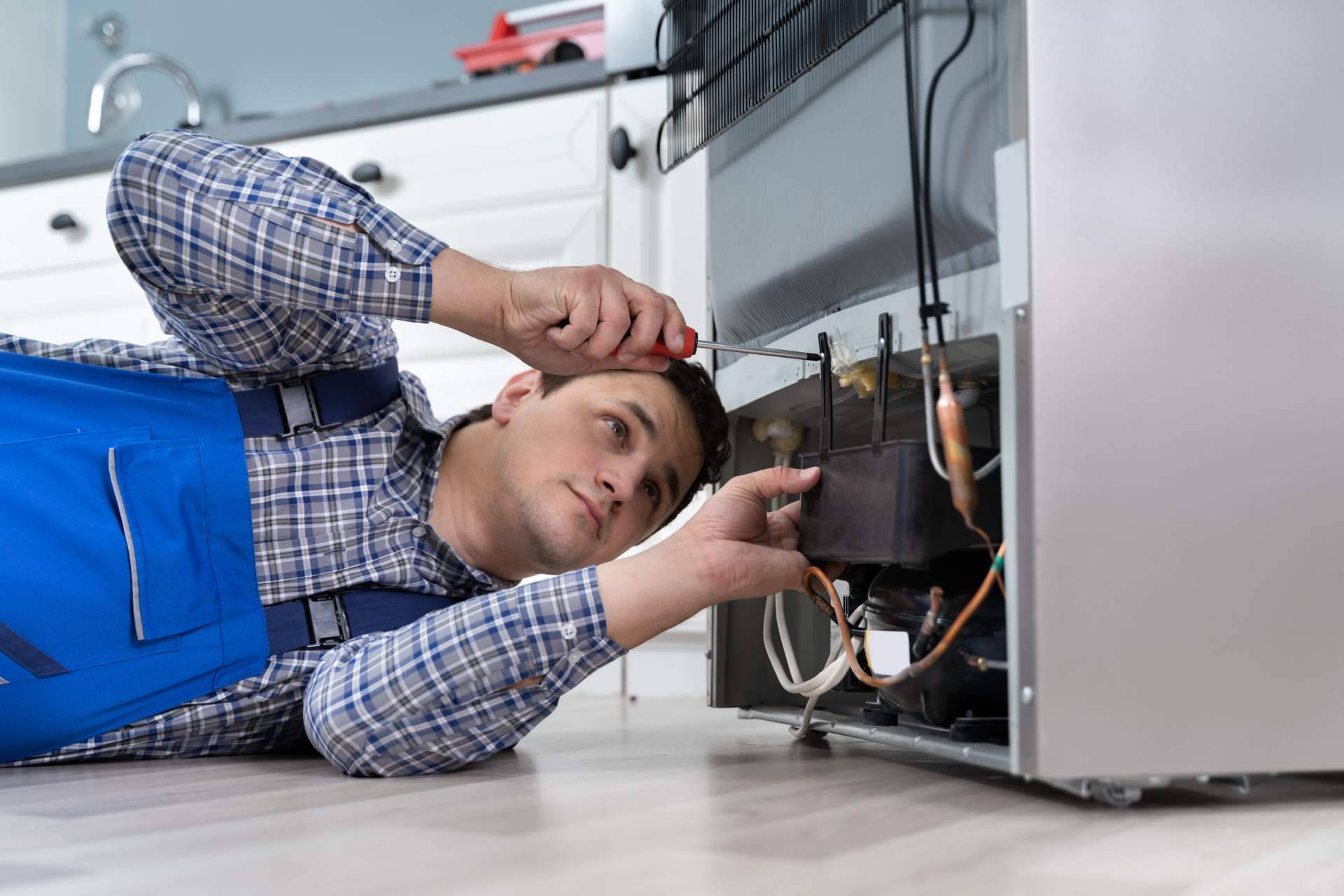 Reparaciones de frigoríficos con el equipo de Servicio Técnico AEG Burgos