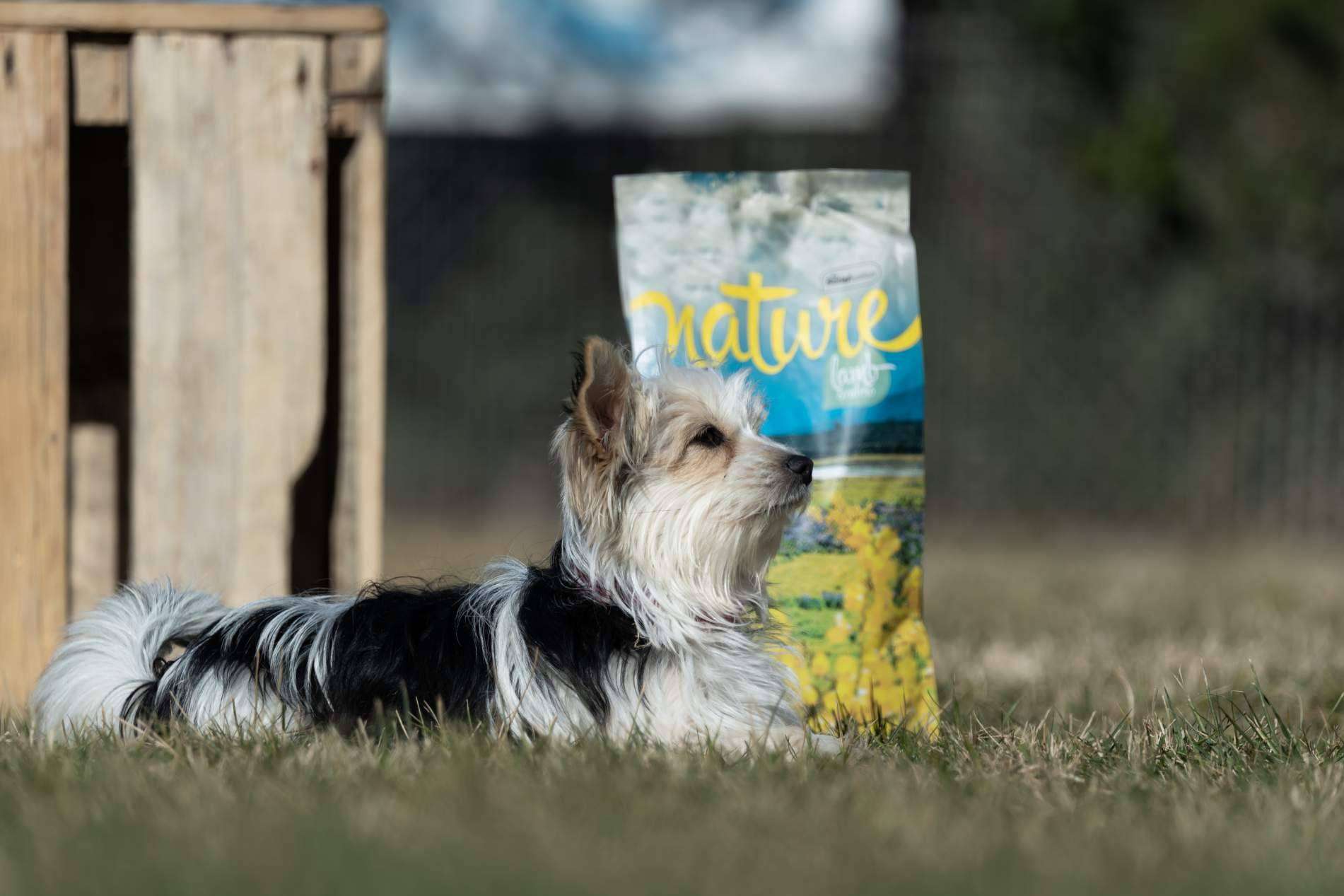 La gama Nature de Satisfaction ofrece pienso para perros sin cereales