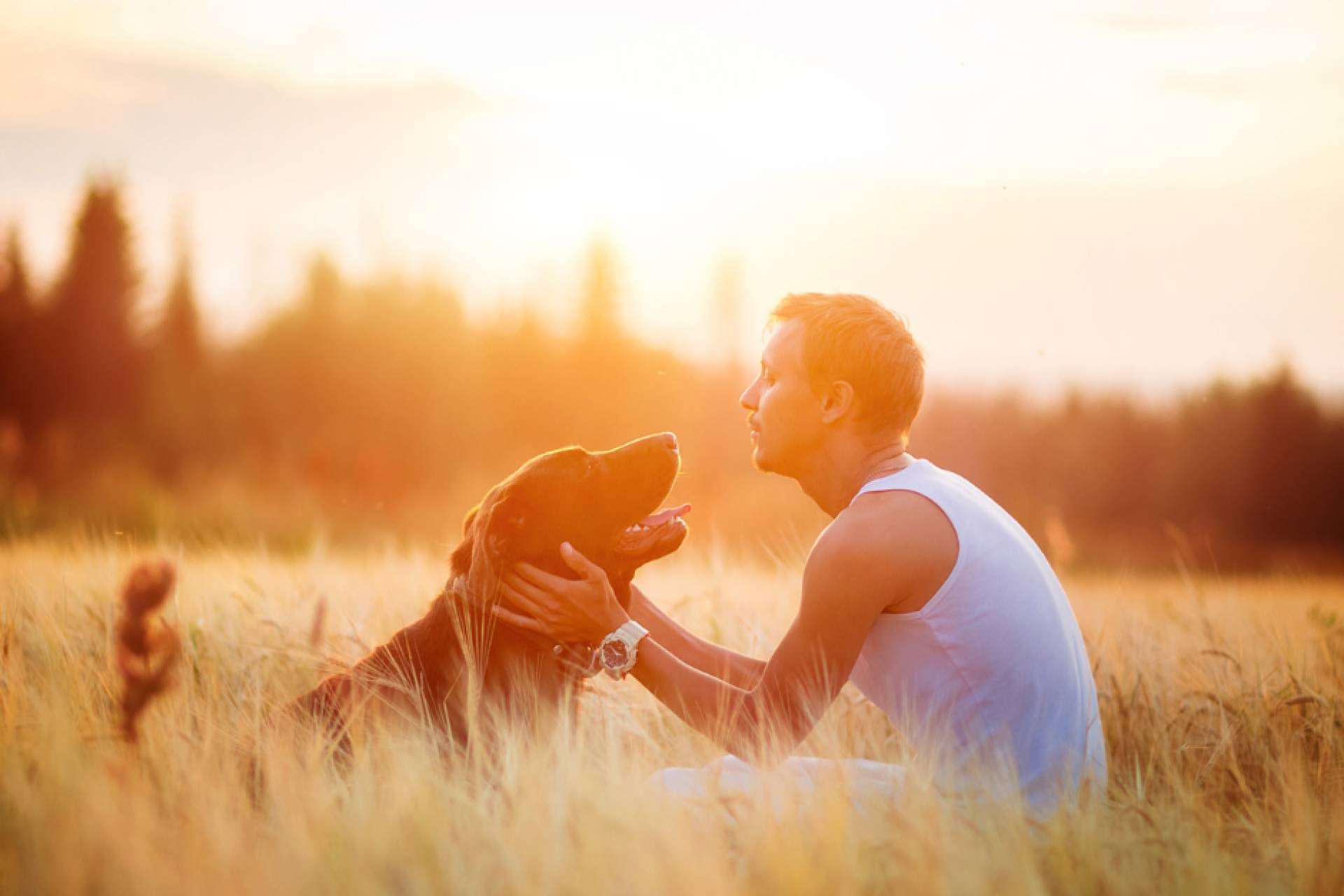 Tras el fallecimiento de su responsable, ¿cómo proteger a los animales?